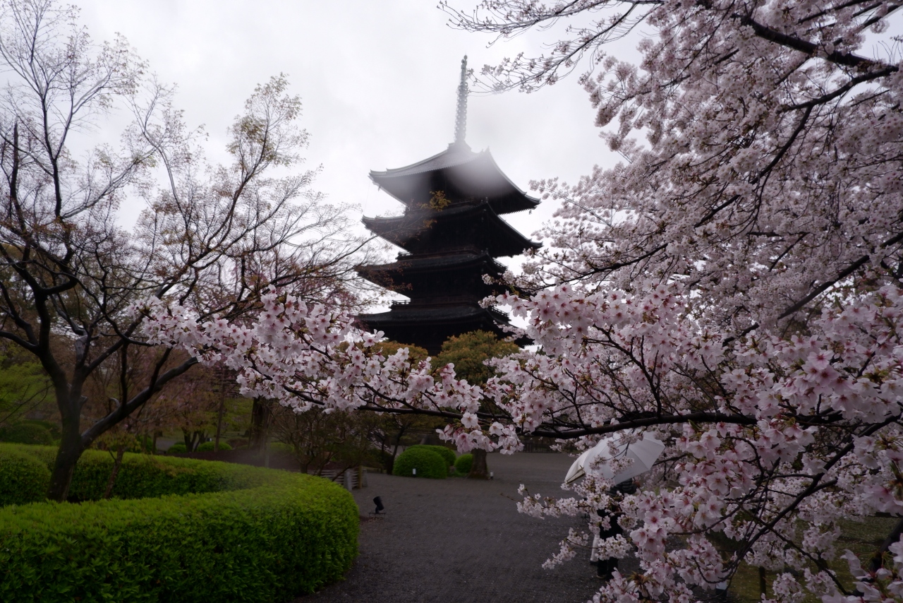桜咲く京都が空いていた 京都 京都駅周辺 京都 の旅行記 ブログ By エステ大好きさん フォートラベル