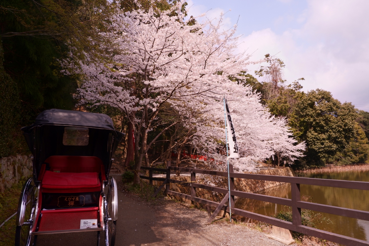 桜咲く保津川をトロッコで眺める 京都 嵐山 嵯峨野 太秦 桂 京都 の旅行記 ブログ By エステ大好きさん フォートラベル 桜咲く保津川をトロッコで眺める 京都 嵐山 嵯峨野 太秦 桂 京都 の旅行記 ブログ By エステ大好きさん フォートラベル