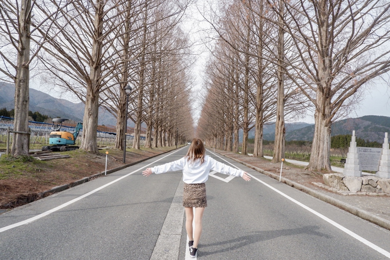 日帰り滋賀 フォトジェニック女子旅 滋賀県の旅行記 ブログ By Ym01さん フォートラベル 日帰り滋賀 フォトジェニック女子旅 滋賀県の旅行記 ブログ By Ym01さん フォートラベル