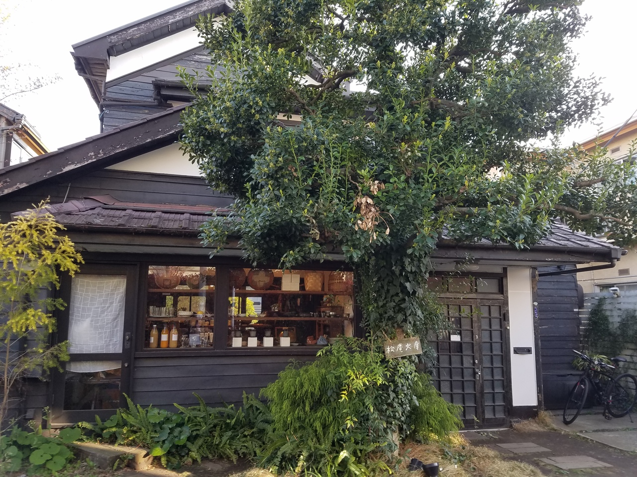 素敵なカフェを探しに 西荻窪へ 古民家カフェ コロナに負けない 吉祥寺 三鷹 東京 の旅行記 ブログ By Yamaneさん フォートラベル 素敵なカフェを探しに 西荻窪へ 古民家カフェ コロナに負けない 吉祥寺 三鷹 東京 の旅行記 ブログ By Yamaneさん フォートラベル