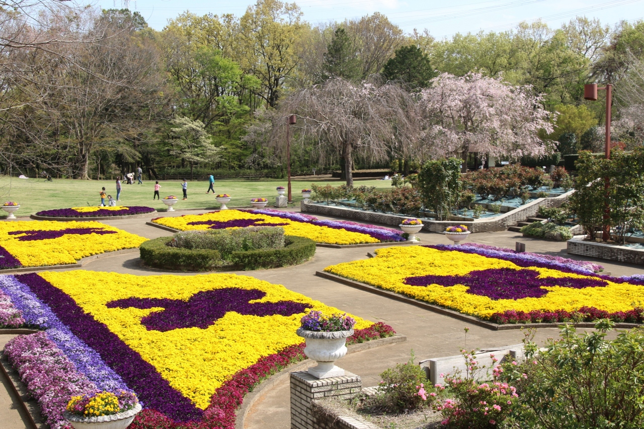 数年ぶりに田舎道を自転車で向かった智光山公園 明るい大花壇と枝垂れ桜のさざ波が美しかった都市緑化植物園 狭山 入間 埼玉県 の旅行記 ブログ By まみさん フォートラベル 数年ぶりに田舎道を自転車で向かった智光山公園 明るい大花壇と枝垂れ桜のさざ波が美しかった都市緑化植物園 狭山 入間 埼玉県 の旅行記 ブログ By まみさん フォートラベル