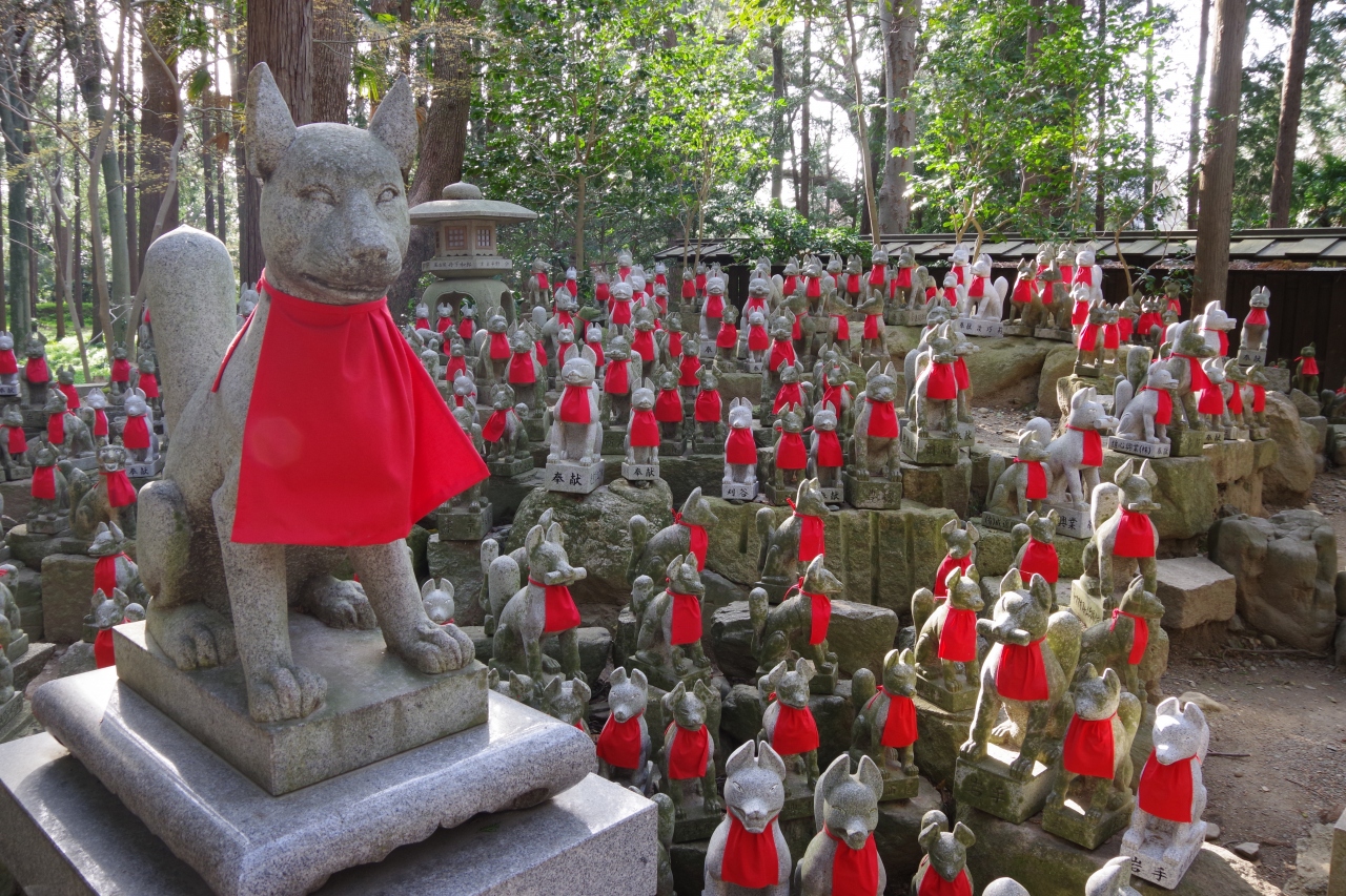 豊川に来たらキツネが呼んでる 豊川稲荷 へ行かなくちゃ 豊川 愛知県 の旅行記 ブログ By ミズ旅撮る人さん フォートラベル 豊川に来たらキツネが呼んでる 豊川稲荷 へ行かなくちゃ 豊川 愛知県 の旅行記 ブログ By ミズ旅撮る人さん フォートラベル