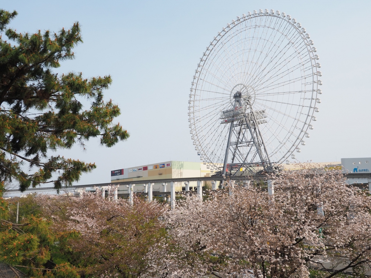 残桜 そしてエキスポシティは休館中 吹田 万博公園 大阪 の旅行記 ブログ By のーとくんさん フォートラベル 残桜 そしてエキスポシティは休館中 吹田 万博公園 大阪 の旅行記 ブログ By のーとくんさん フォートラベル