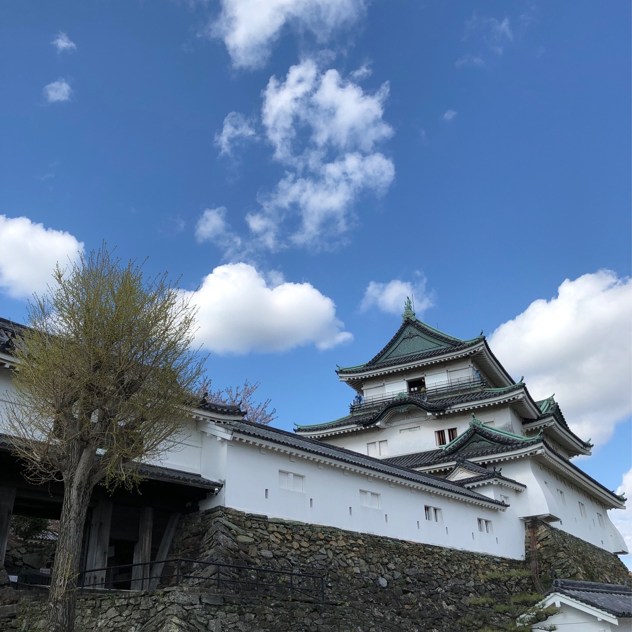 関空で仕事を終えた後 和歌山へドライブ 和歌山市 和歌山県 の旅行記 ブログ By Yamaotokoy1さん フォートラベル