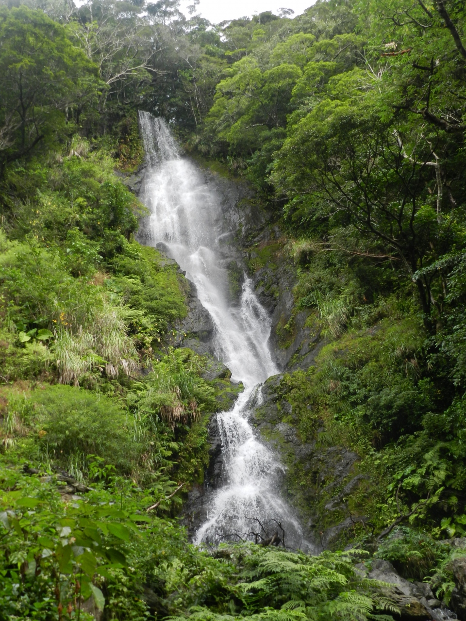 秘境感いっぱい フナンギョの滝 タンギョの滝 17年1月 奄美大島で滝めぐり カヌー体験 その7 奄美大島 鹿児島県 の旅行記 ブログ By Joecoolさん フォートラベル 秘境感いっぱい フナンギョの滝 タンギョの滝 17年1月 奄美大島で滝めぐり カヌー体験 その7 奄美大島 鹿児島県 の旅行記 ブログ By Joecoolさん フォートラベル