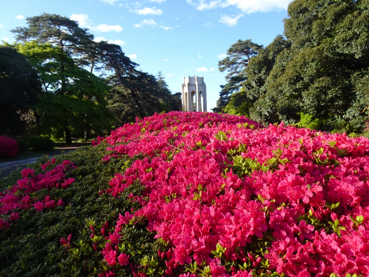 年4月 多磨霊園で著名人のお墓探訪 国立 府中 稲城 東京 の旅行記 ブログ By たんきちさん フォートラベル