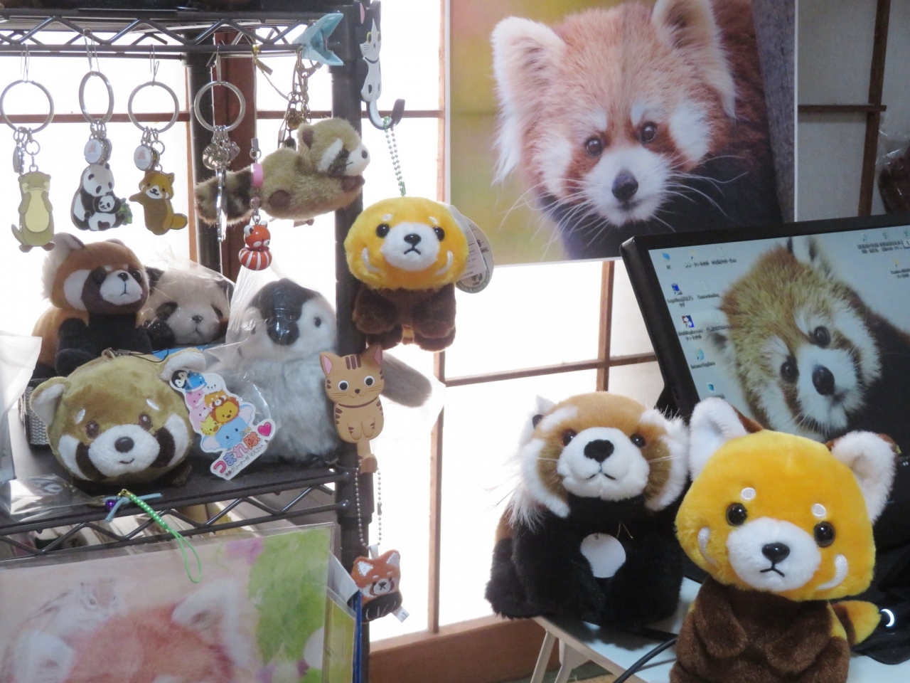 飼育の日 おうちレッサーパンダ コロナウィルス感染防止対策で動物園に行けない日々を耐える 随時写真を追加 埼玉県の旅行記 ブログ By まみさん フォートラベル