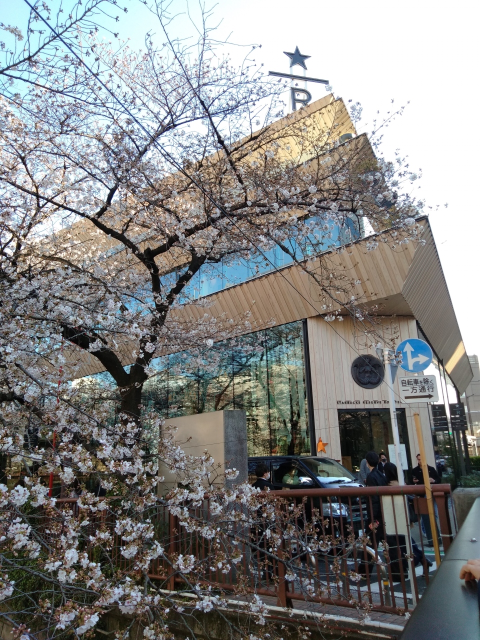 年 自由が丘ランチと目黒川散策 自由が丘 東京 の旅行記 ブログ By きーぽーさん フォートラベル