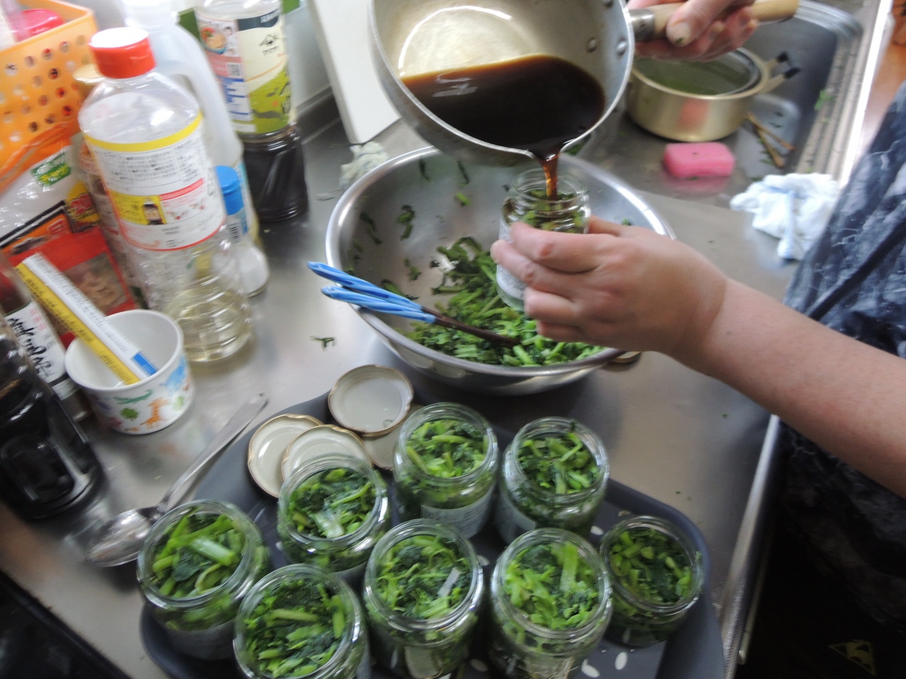 Stay Home続行中 お酒のあて は山葵醤油漬 飯綱高原 長野県 の旅行記 ブログ By Kazukazuさん フォートラベル Stay Home続行中 お酒のあて は山葵醤油漬 飯綱高原 長野県 の旅行記 ブログ By Kazukazuさん フォートラベル