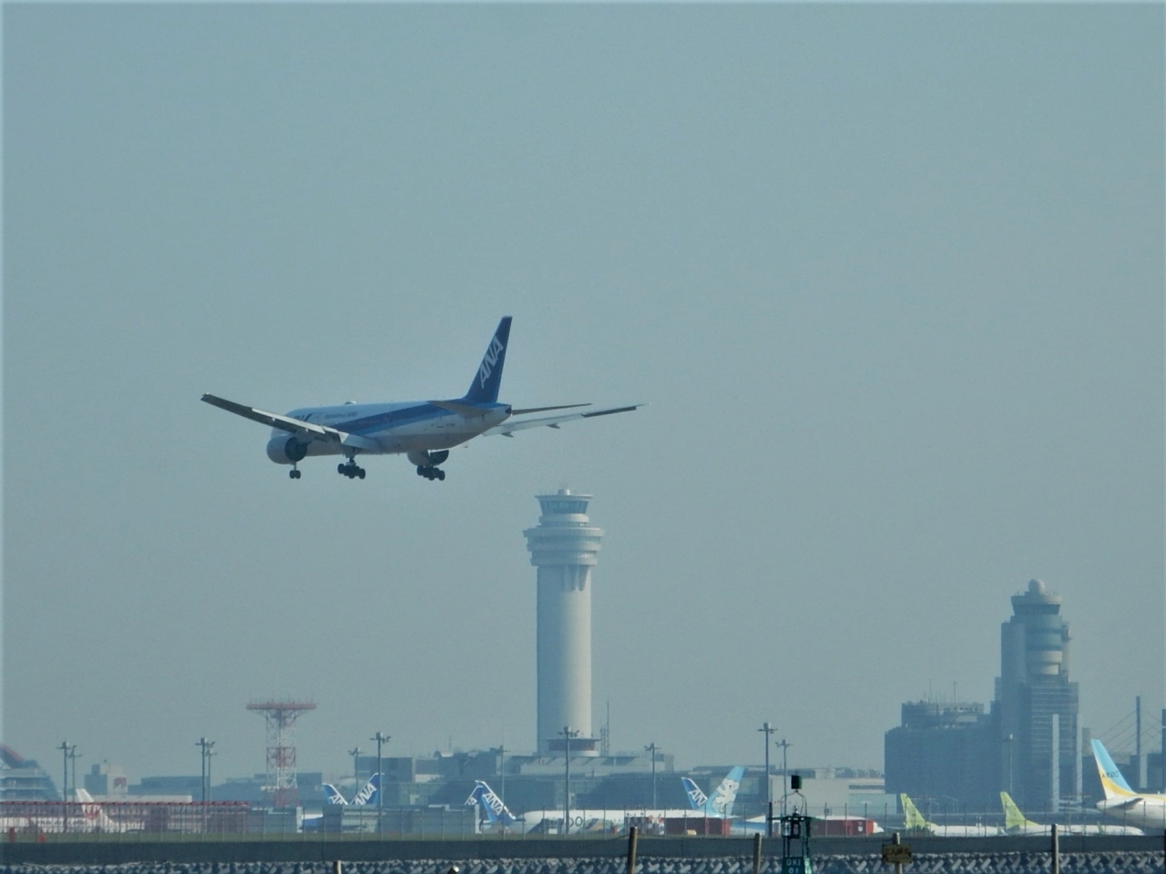 羽田空港が見える公園 自転車でさんぽ 羽田 東京 の旅行記 ブログ By 旅姿さん フォートラベル