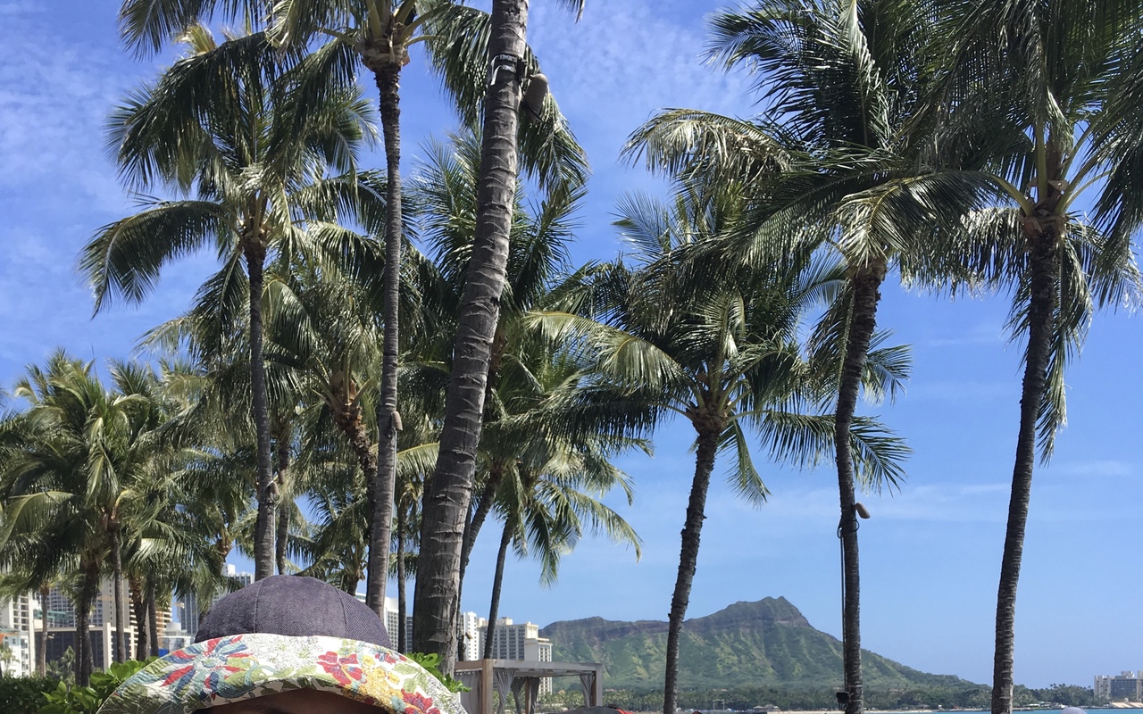 コロナでキャンセル 春休み ハワイ家族旅行 オアフ島 ハワイ の旅行記 ブログ By Yokotabiさん フォートラベル