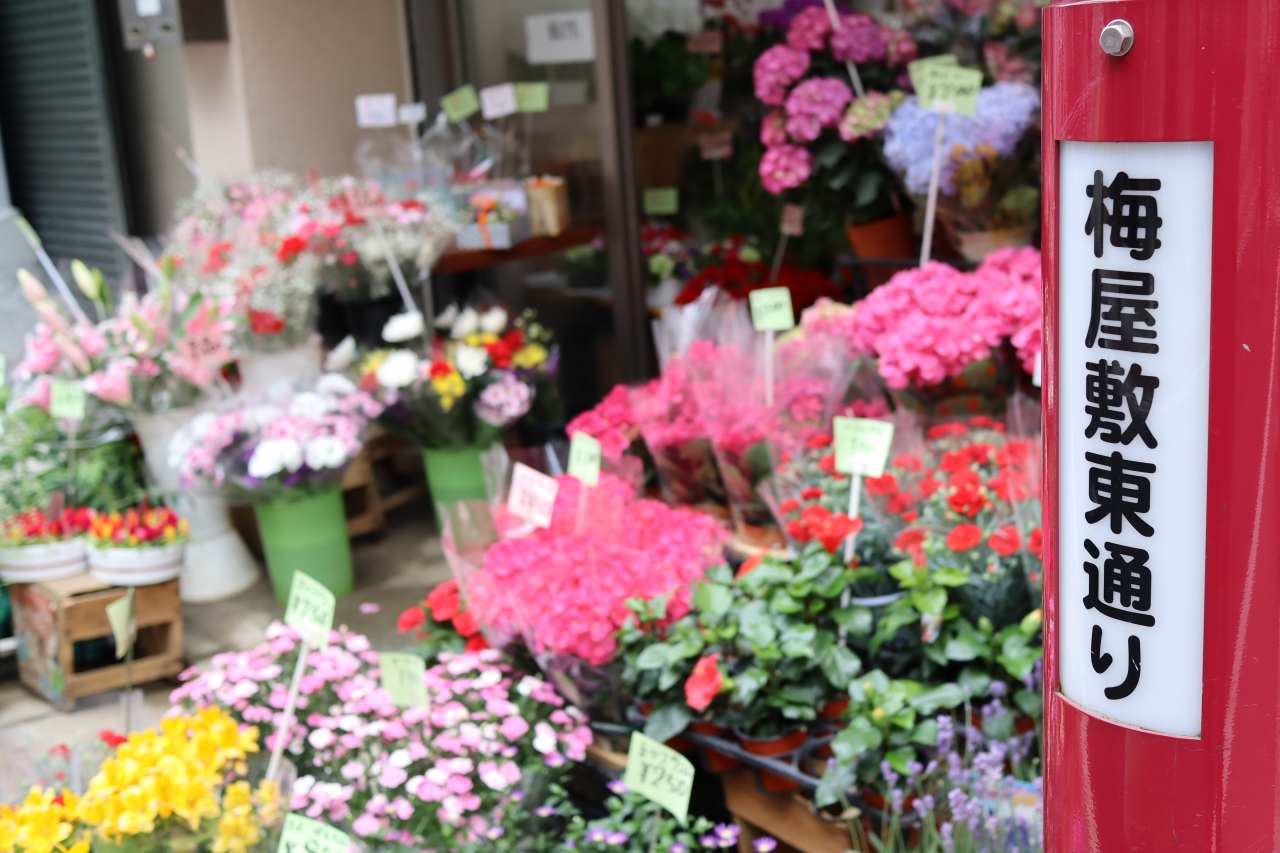 母の日に京急梅屋敷界隈ぷらぷら 蒲田 東京 の旅行記 ブログ By 東京おやじっちさん フォートラベル