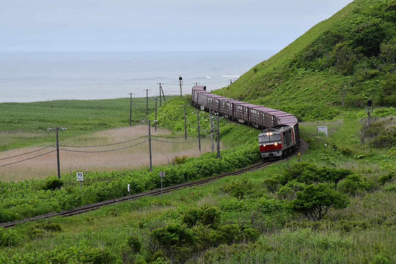 道東の原野と湿原を走る根室本線19 音別の尺別原野と別寒辺牛湿原 北海道 北海道の旅行記 ブログ By かっちんさん フォートラベル 道東の原野と湿原を走る根室本線19 音別の尺別原野と別寒辺牛湿原 北海道 北海道の旅行記 ブログ By かっちんさん フォートラベル
