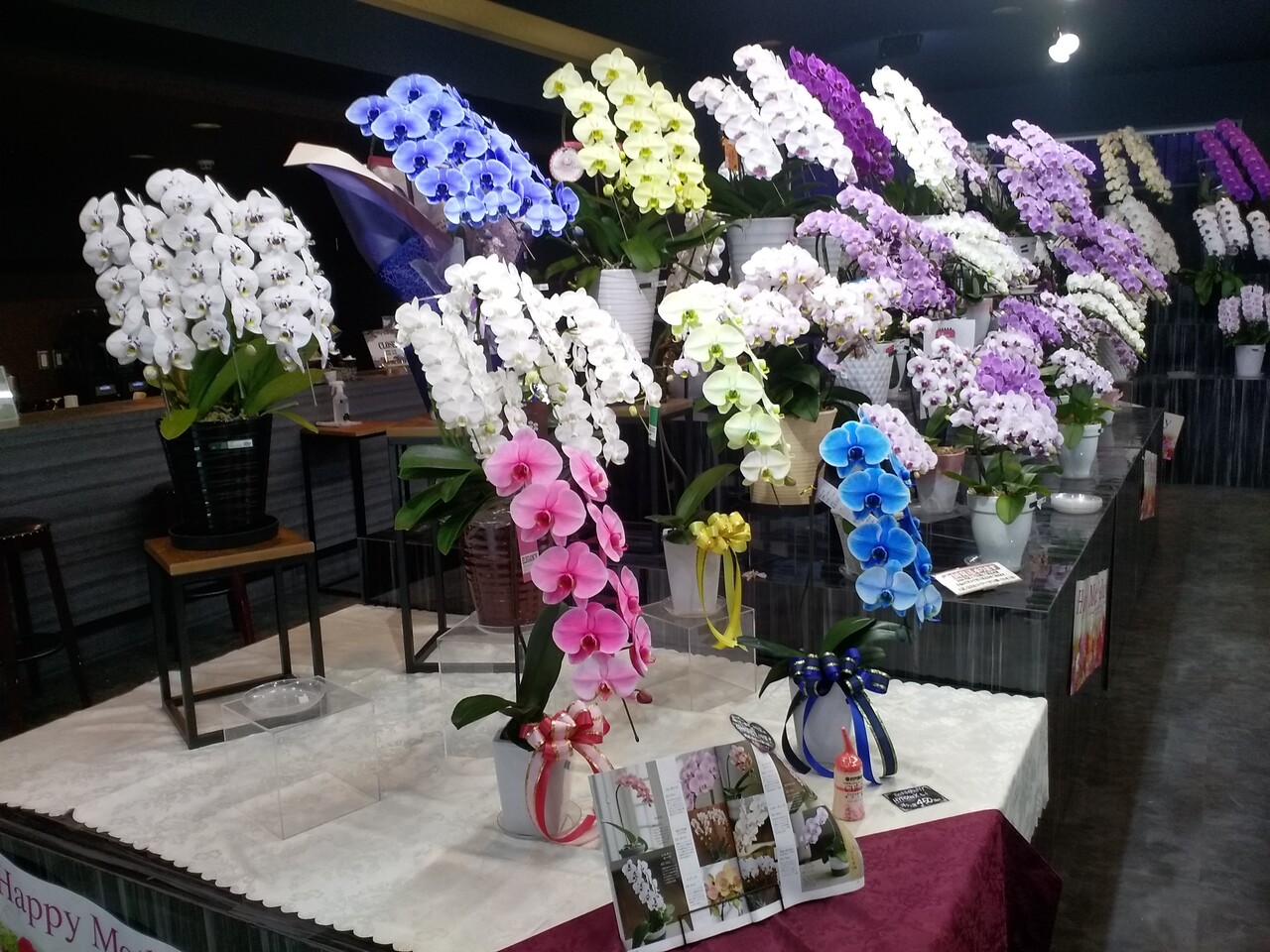 久々のお出掛けで花屋さんに行ってきました 博多 福岡県 の旅行記 ブログ By Nanakoさん フォートラベル