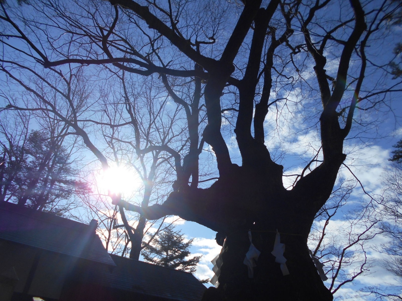 ヤマトタケルの家路7 碓井坂 軽井沢 長野県 の旅行記 ブログ By しにあの旅人さん フォートラベル ヤマトタケルの家路7 碓井坂 軽井沢 長野県 の旅行記 ブログ By しにあの旅人さん フォートラベル