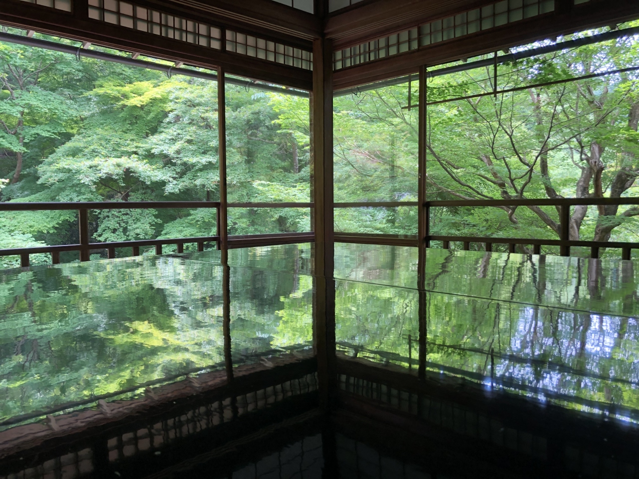6月3日 青紅葉と苔 床紅葉のきれいな瑠璃光院へ 八瀬 大原 貴船 鞍馬 京都 の旅行記 ブログ By Olive26さん フォートラベル 6月3日 青紅葉と苔 床紅葉のきれいな瑠璃光院へ 八瀬 大原 貴船 鞍馬 京都 の旅行記 ブログ By Olive26さん フォートラベル
