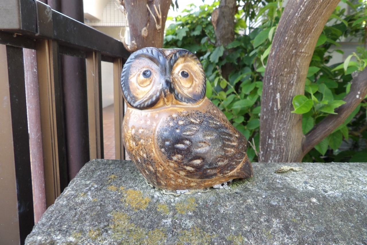 横浜で見掛けたフクロウの置物 神奈川県の旅行記 ブログ By ドクターキムルさん フォートラベル