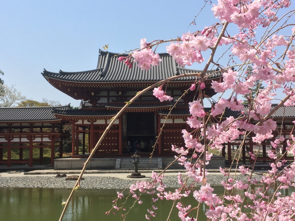 平等院 伏見稲荷大社 宇治 京都 の旅行記 ブログ By Something Like Thatさん フォートラベル
