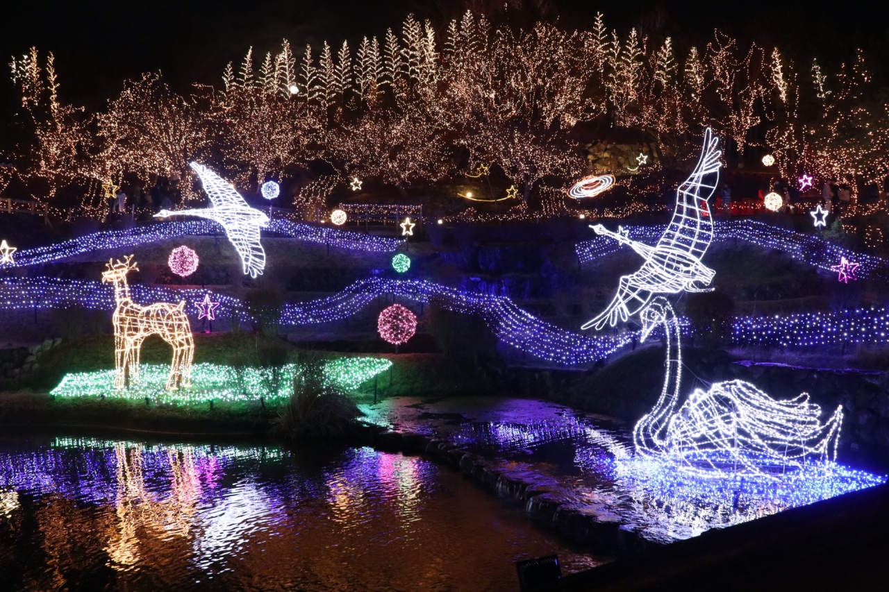 ２０１９ー２０２０ 国営備北丘陵公園 ウィンターイルミネーション 庄原 広島県 の旅行記 ブログ By ちゃみおさん フォートラベル
