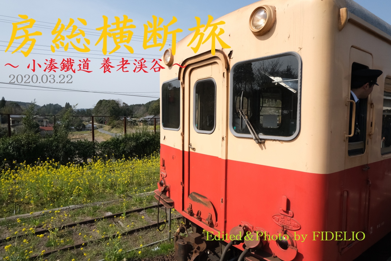 春 春の房総横断日帰り旅 菜の花が咲く里山と城下町を訪ねて 養老渓谷編 養老渓谷 千葉県 の旅行記 ブログ By Fidelioさん フォートラベル