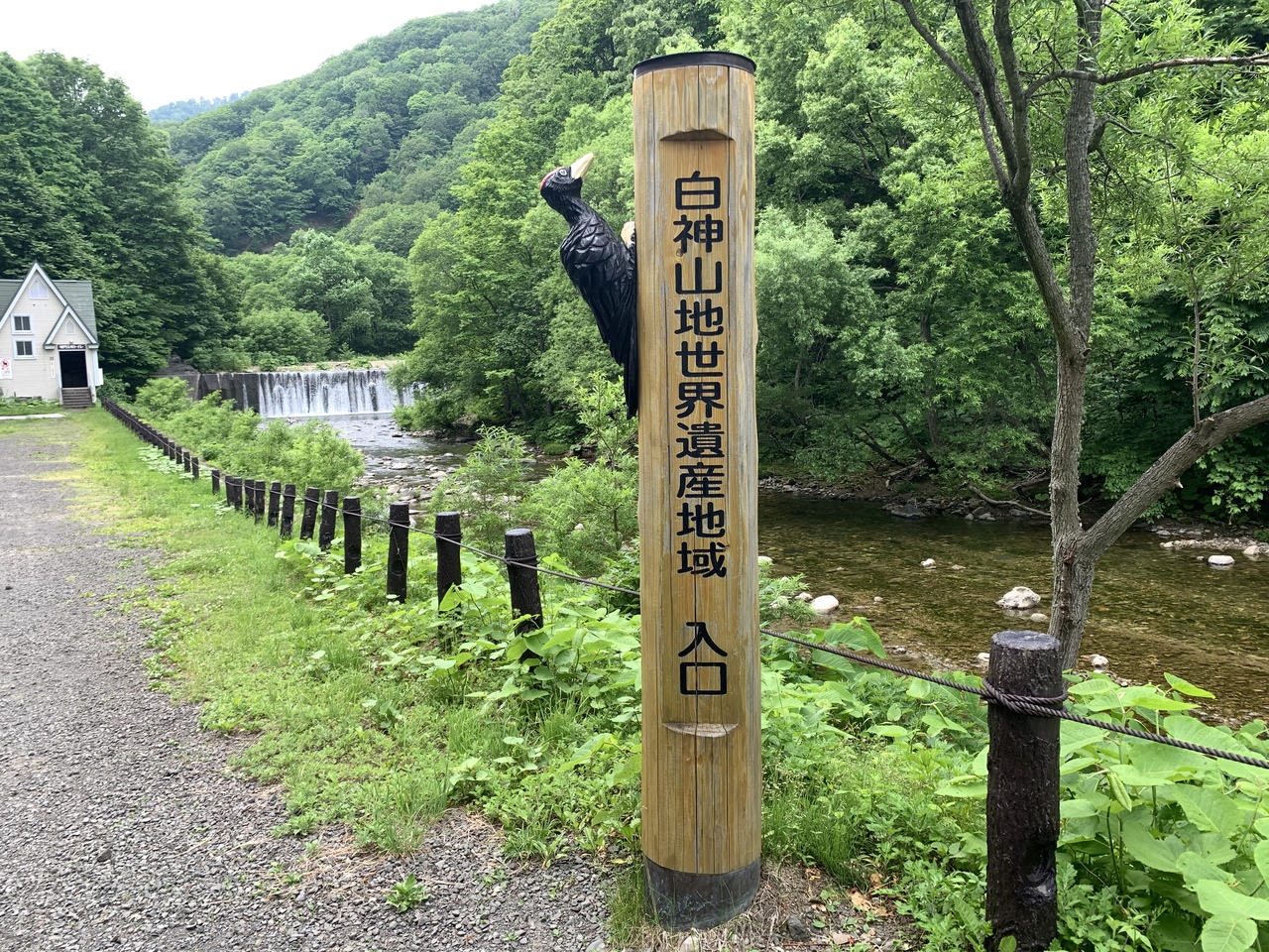 白神山地散策 白神山地 青森県 の旅行記 ブログ By Amyさん フォートラベル