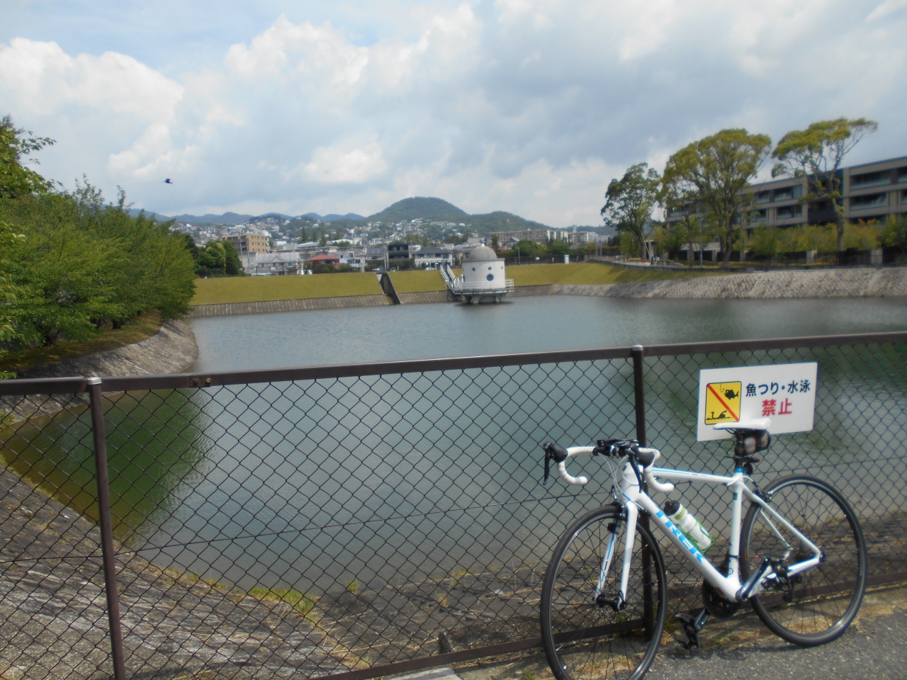 ニテコ池と東鳴尾の畑 西宮 芦屋 兵庫県 の旅行記 ブログ By カメポンニュさん フォートラベル