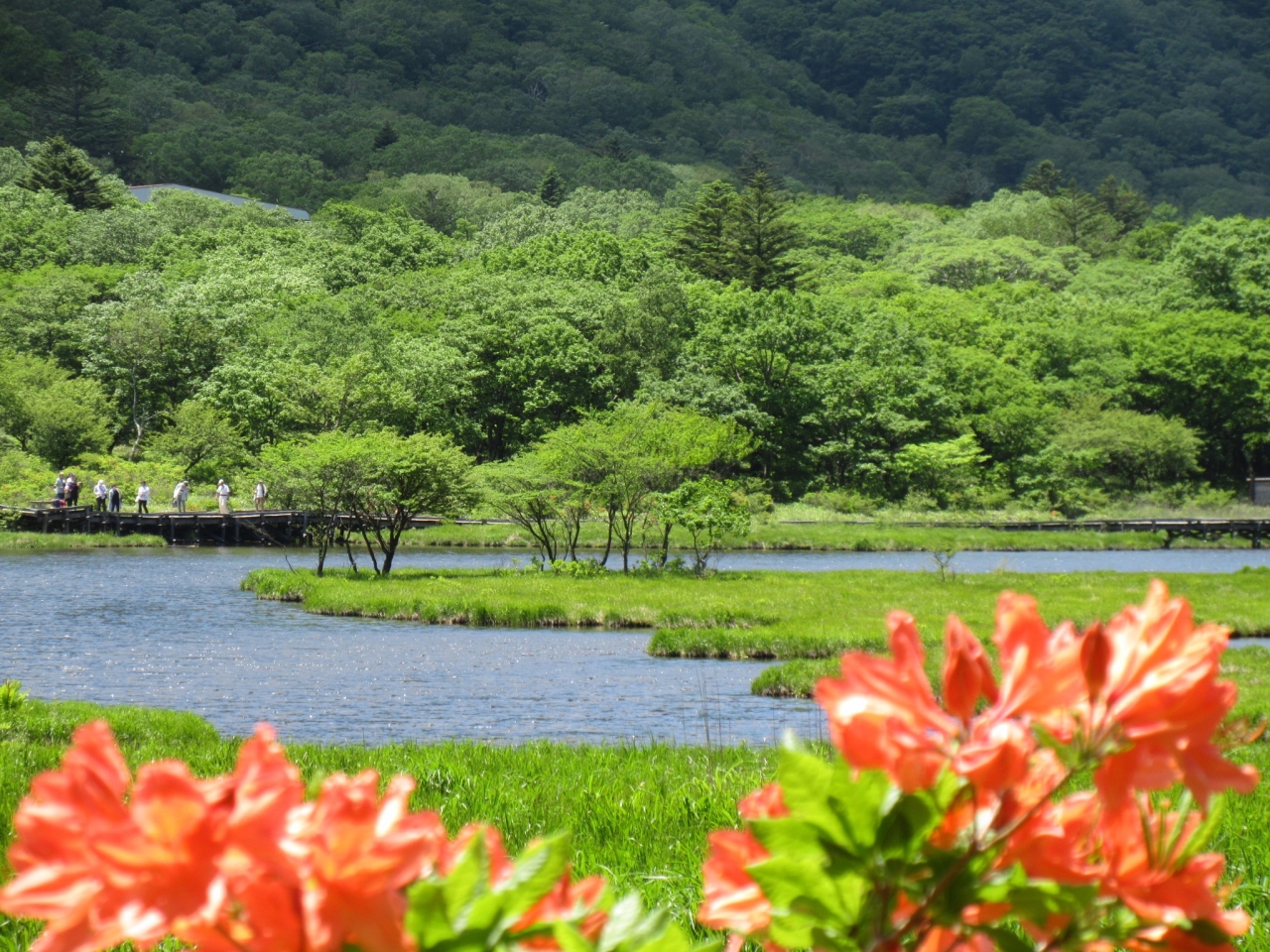 赤城山 初夏 赤城山周辺 群馬県 の旅行記 ブログ By Okushitwさん フォートラベル