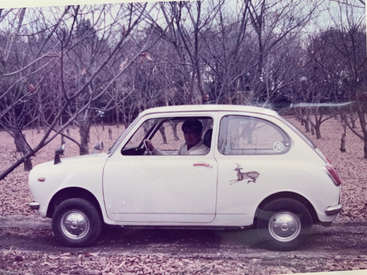 普通の人の 愛車遍歴記 香川県の旅行記 ブログ By Olive Kenjiさん フォートラベル