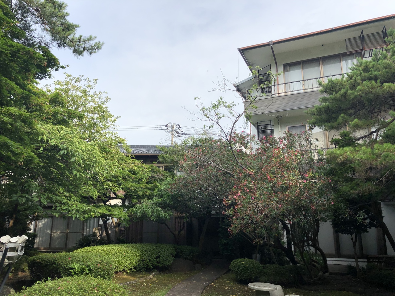 営業再開した伊東園松川館さんに行きました 到着 夕食1日目です 伊東温泉 静岡県 の旅行記 ブログ By Jmb Srさん フォートラベル 営業再開した伊東園松川館さんに行きました 到着 夕食1日目です 伊東温泉 静岡県 の旅行記 ブログ By Jmb Srさん フォートラベル