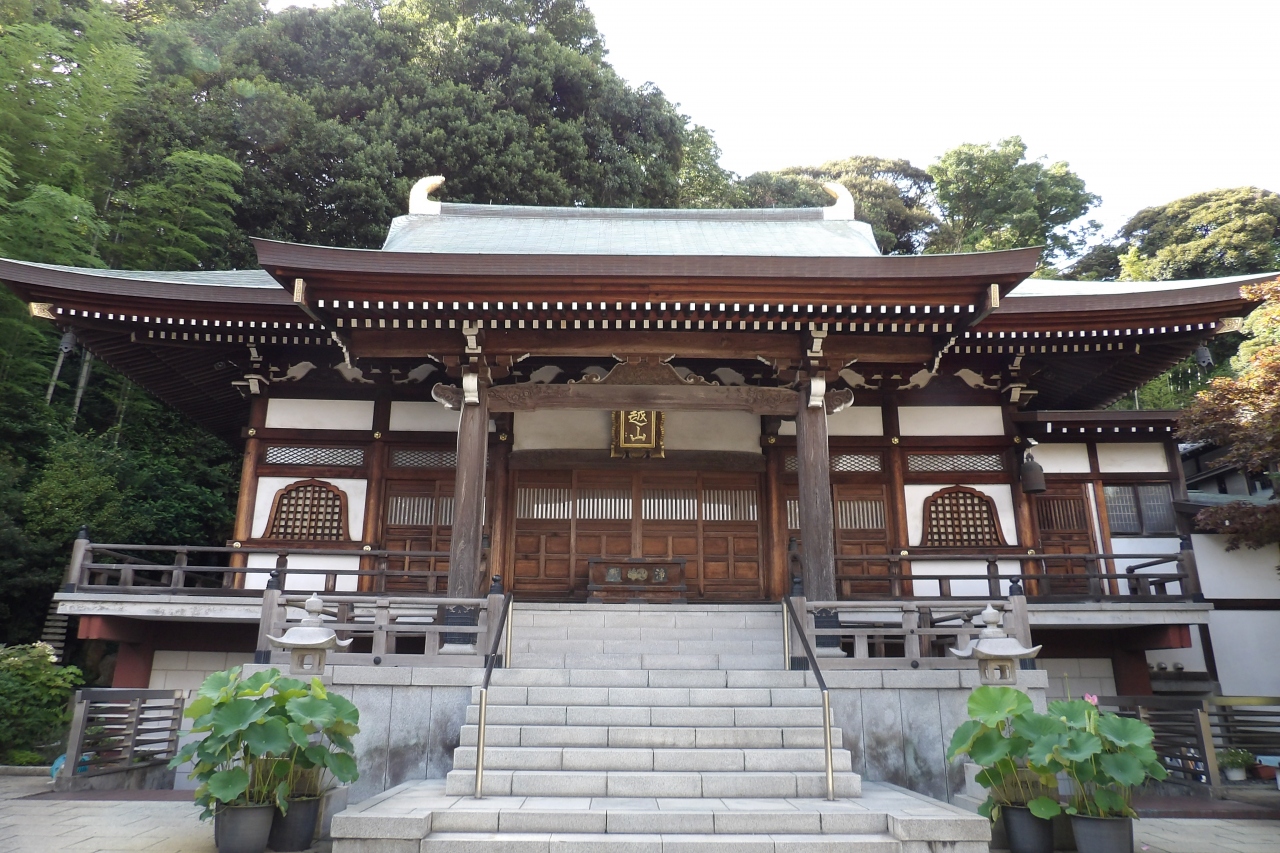 定光寺 横浜市南区六ッ川1 東神奈川 保土ヶ谷 弘明寺 神奈川県 の旅行記 ブログ By ドクターキムルさん フォートラベル 定光寺 横浜市南区六ッ川1 東神奈川 保土ヶ谷 弘明寺 神奈川県 の旅行記 ブログ By ドクターキムルさん フォートラベル