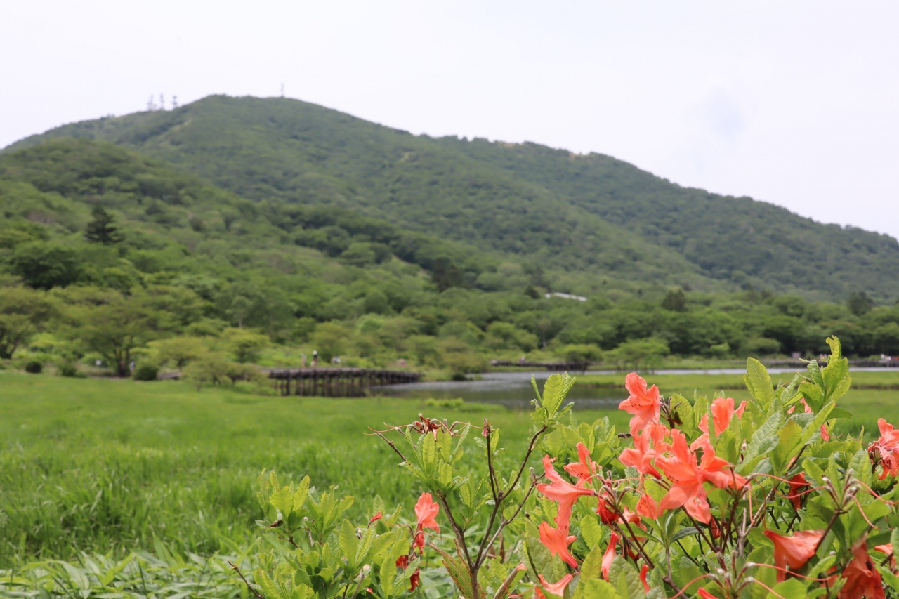 自粛明けの山行 見ごろを過ぎたレンゲツツジを探して地蔵岳 赤城山周辺 群馬県 の旅行記 ブログ By くろねこだりゅんさん フォートラベル