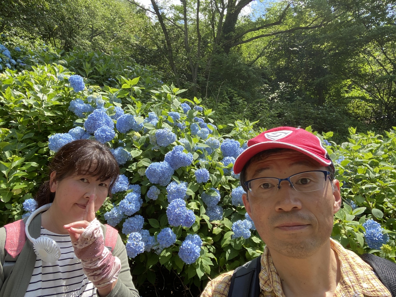 6そうだアジサイ見に行こう って苦行 生駒登山 暗峠 ぬかた園地 石切神社 東大阪市 大阪 の旅行記 ブログ By ぱぺぱぺさん フォートラベル