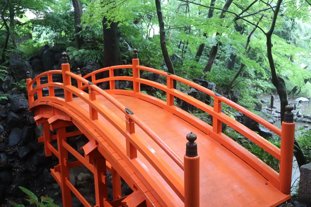 がっかりす まだ蓮が咲いてない 水道橋 東京 の旅行記 ブログ By 東京おやじっちさん フォートラベル