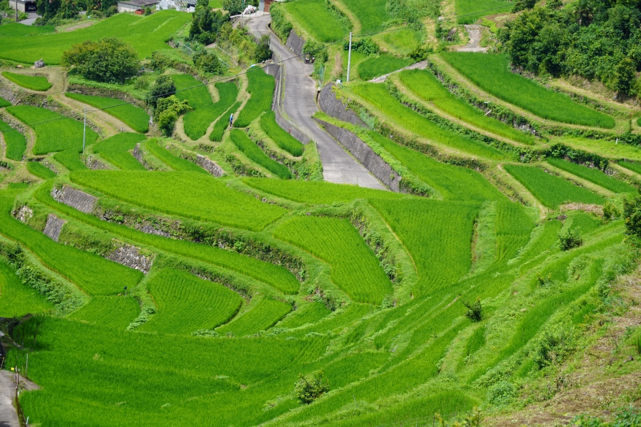 0716 1 小豆島 中山農村歌舞伎台と 中山千枚田散策 小豆島 香川県 の旅行記 ブログ By Hhbさん フォートラベル