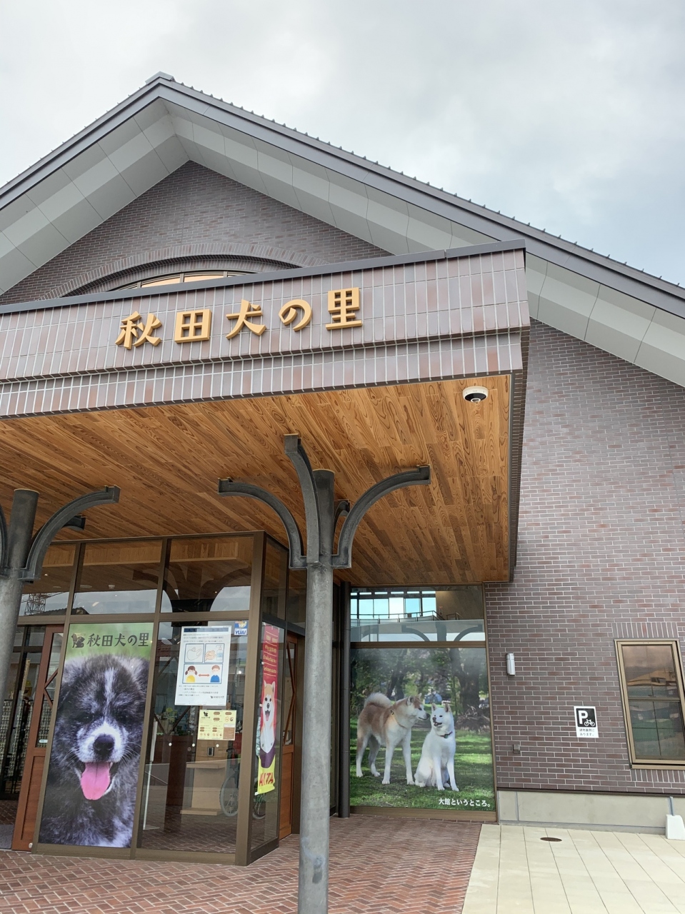 大館で秋田犬と会う 大館 秋田県 の旅行記 ブログ By はたさん フォートラベル