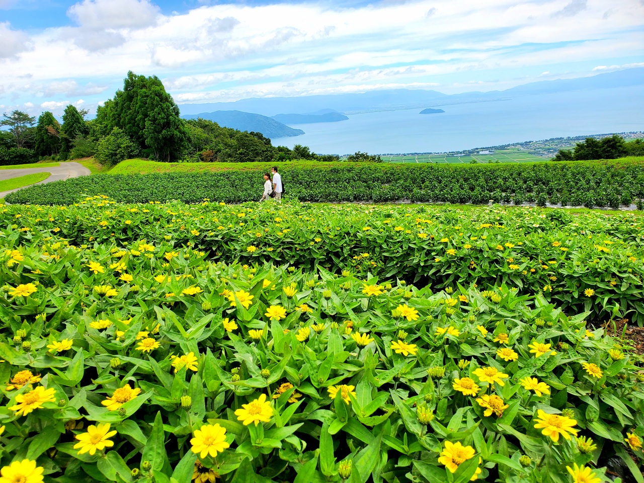 ４連休前に 箱館山 と 醒井 さめがい で 束の間の癒やし ﾟ ﾟ 滋賀県の旅行記 ブログ By Yokoさん フォートラベル