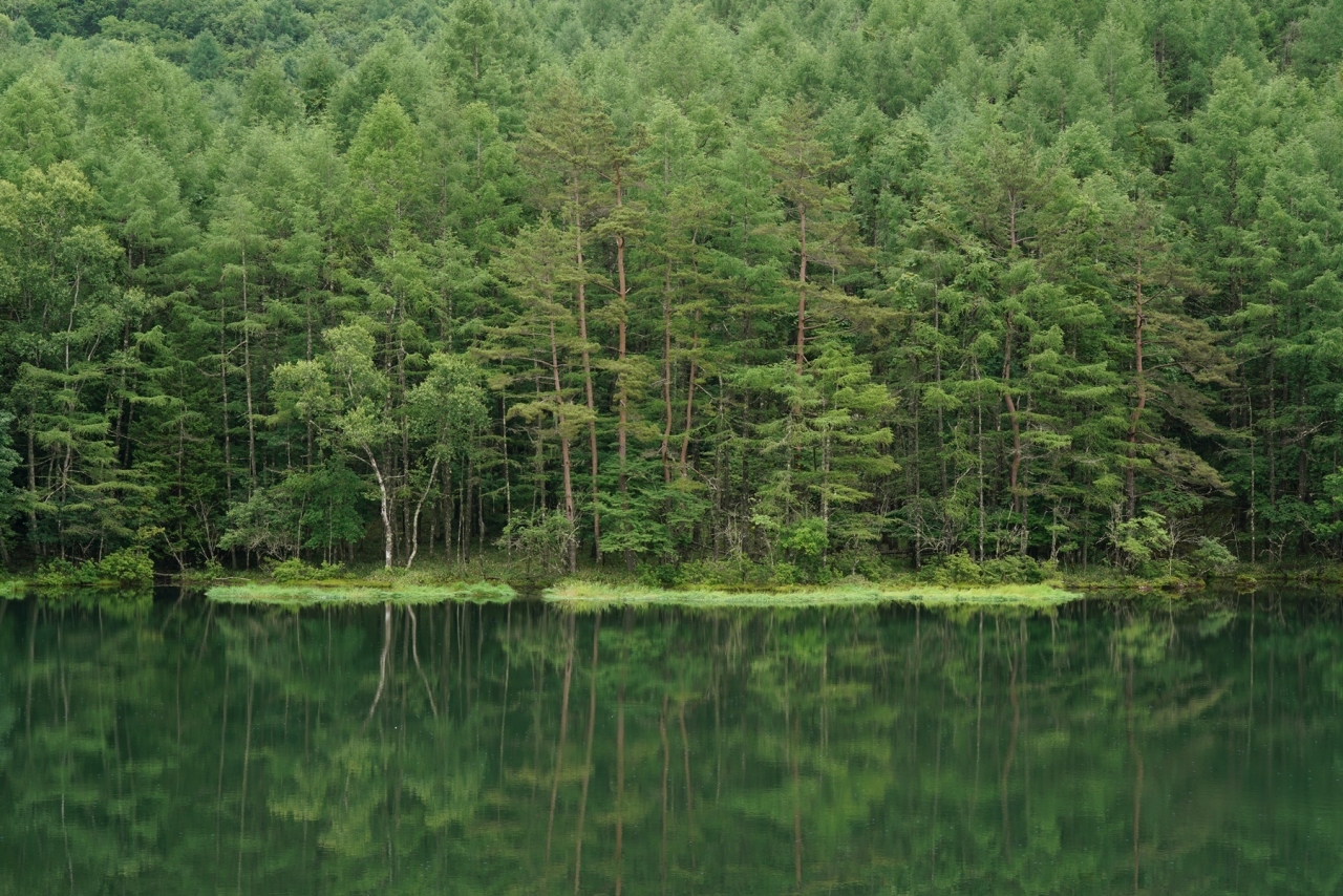 蓼科 岡谷 旅行 1泊 年7月 御射鹿池 諏訪大社 岡谷蚕糸博物館 白樺湖 蓼科 車山 長野県 の旅行記 ブログ By Ohahiroさん フォートラベル 蓼科 岡谷 旅行 1泊 年7月 御射鹿池 諏訪大社 岡谷蚕糸博物館 白樺湖 蓼科 車山 長野県 の旅行記 ブログ By Ohahiroさん フォートラベル