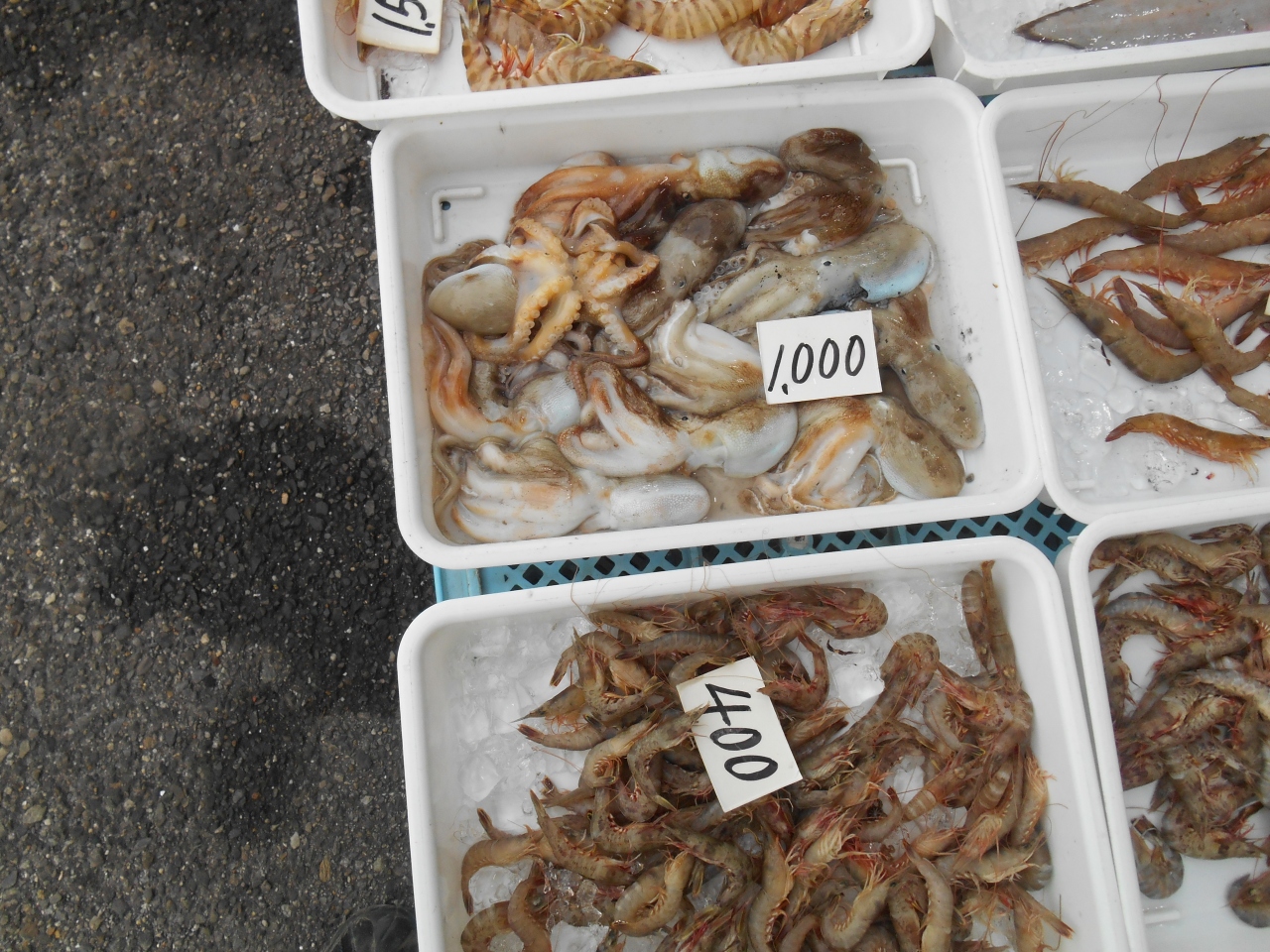 久しぶりに一色魚市場に 西尾 一色 幸田 愛知県 の旅行記 ブログ By きんちゃくだいさん フォートラベル