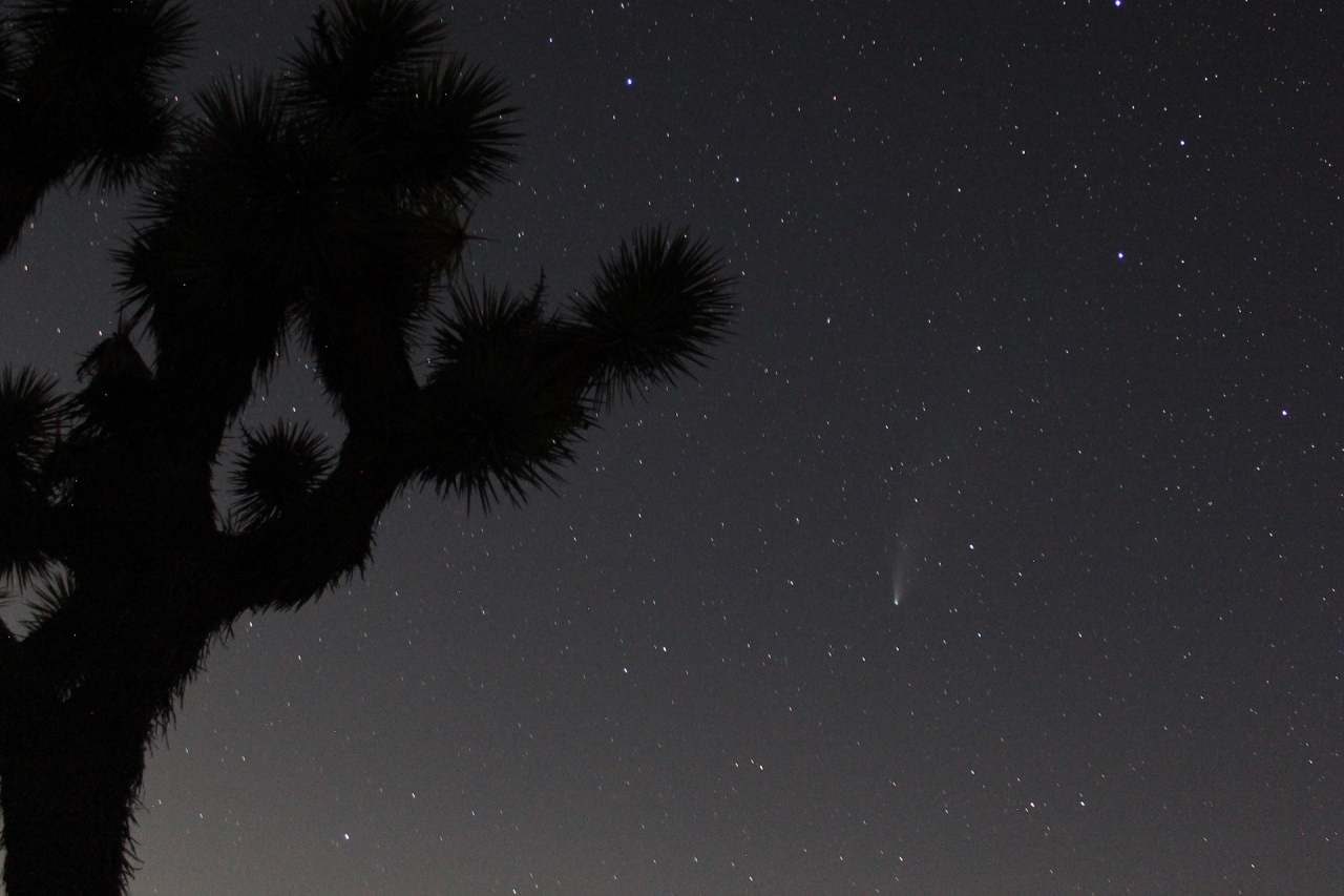ネオワイズ彗星を見にジョシュアツリー国立公園へ カリフォルニア州 アメリカ の旅行記 ブログ By Joshuatreeさん フォートラベル ネオワイズ彗星を見にジョシュアツリー国立公園へ カリフォルニア州 アメリカ の旅行記 ブログ By Joshuatreeさん フォートラベル
