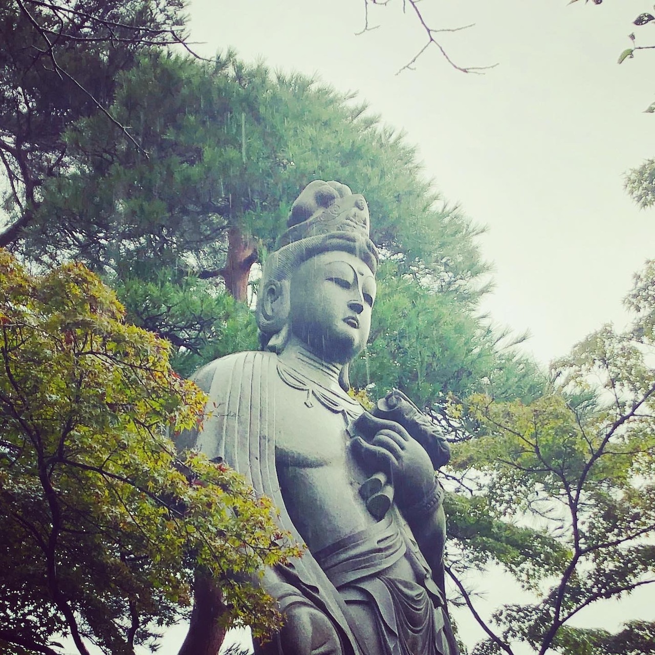 己巳の日に高幡不動の福徳弁財天へ金運財運upにお参り 高尾 八王子 東京 の旅行記 ブログ By Honeyさん フォートラベル 己巳の日に高幡不動の福徳弁財天へ金運財運upにお参り 高尾 八王子 東京 の旅行記 ブログ By Honeyさん フォートラベル