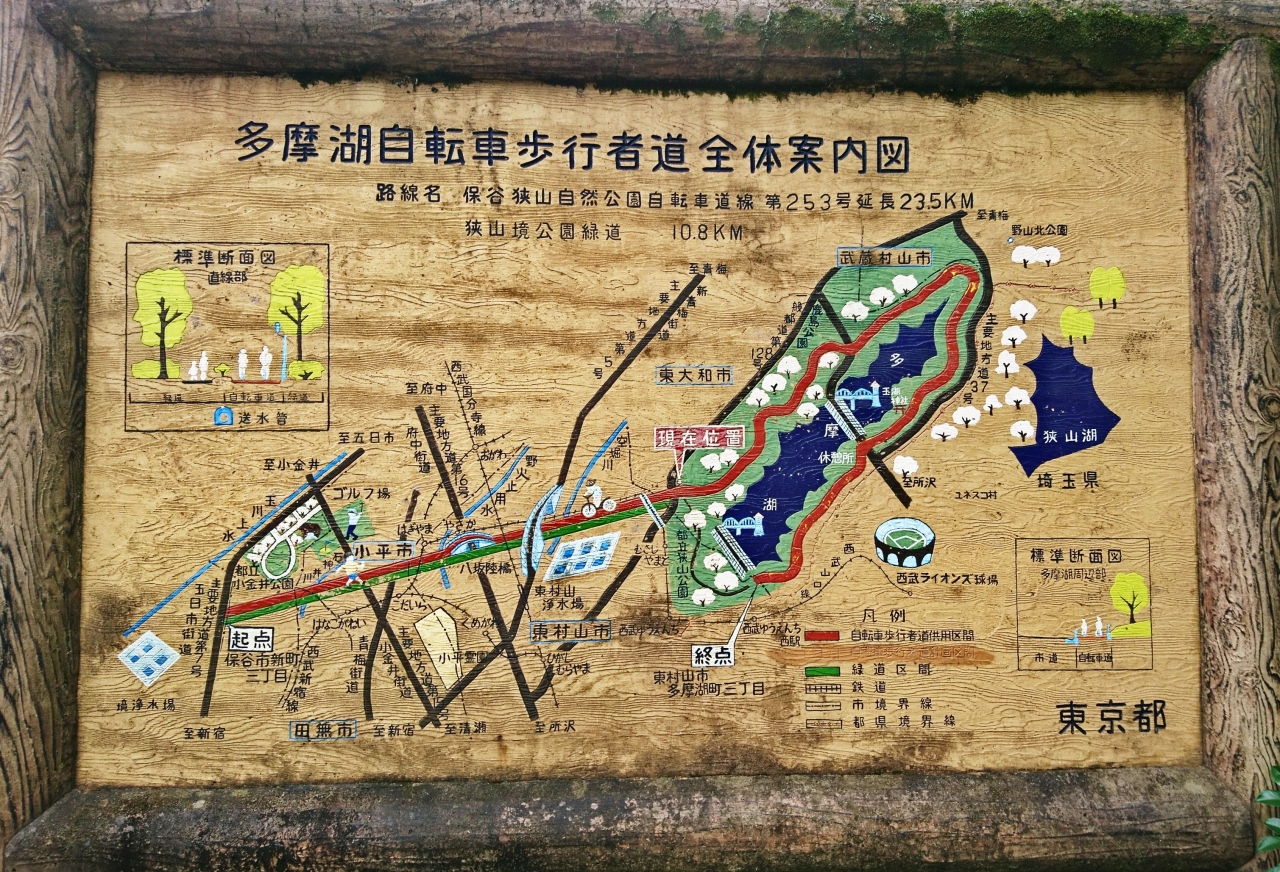 Japan 多摩湖一周のつもりでしたが 涼しくなったので9月に一周して続きの写真を追加しました 福生 武蔵村山 東京 の旅行記 ブログ By 唐辛子婆さん フォートラベル