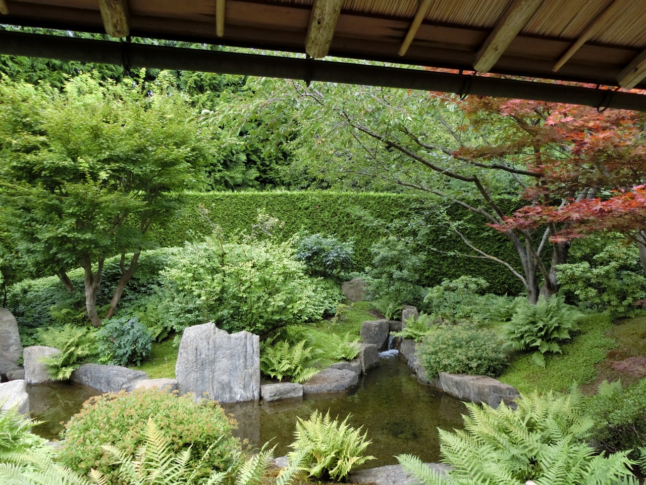 ベルリン 世界の庭園へ ベルリン ドイツ の旅行記 ブログ By Regens1さん フォートラベル ベルリン 世界の庭園へ ベルリン ドイツ の旅行記 ブログ By Regens1さん フォートラベル