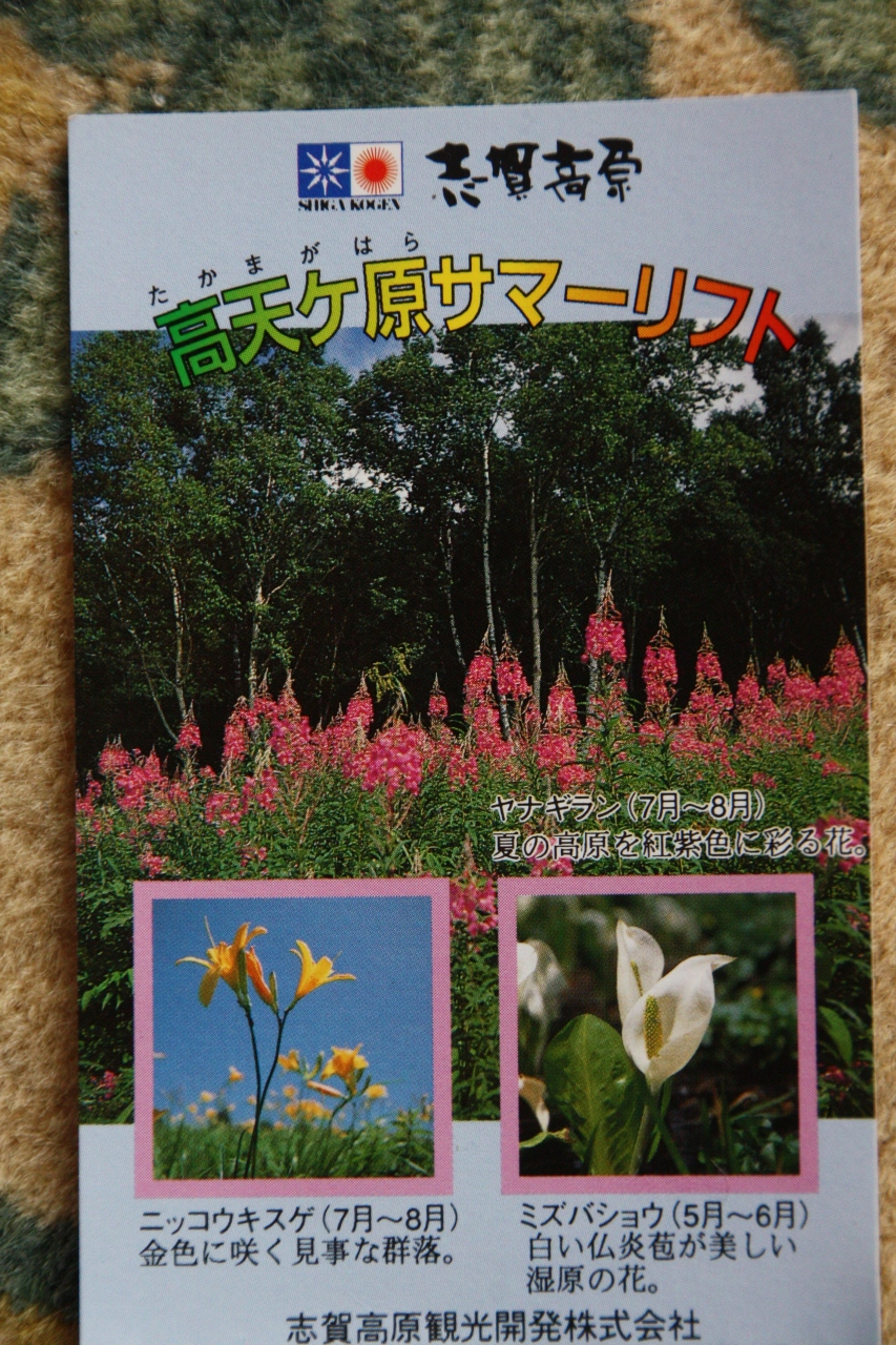 信州 志賀高原 東館山 高山植物園 湯田中渋温泉郷 志賀高原 長野県 の旅行記 ブログ By いぬちゃんさん フォートラベル