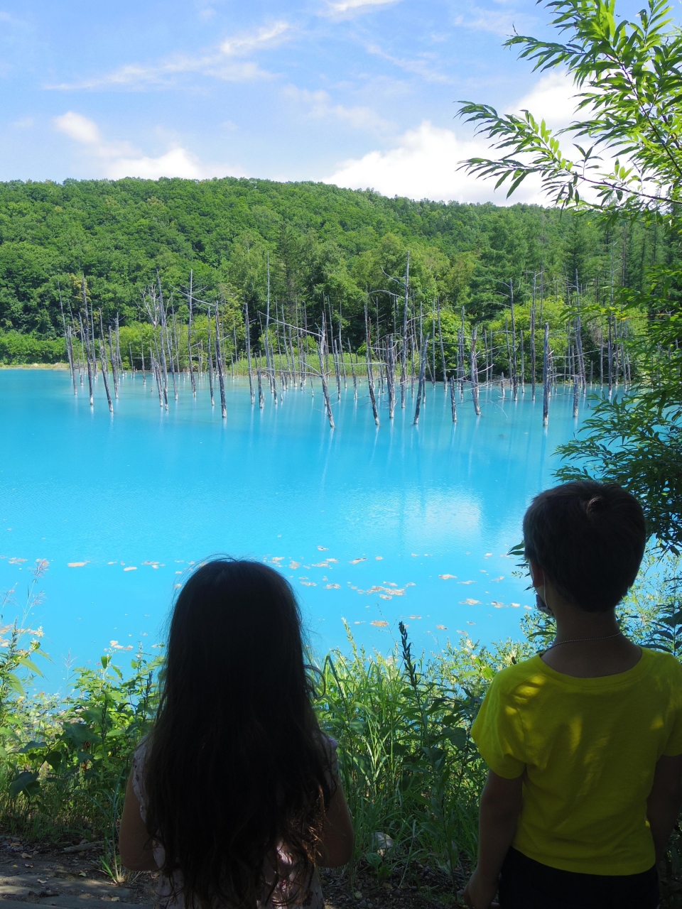 5 7歳児連れ 富良野美瑛ドライブ旅行 富良野 北海道 の旅行記 ブログ By Wakabunさん フォートラベル