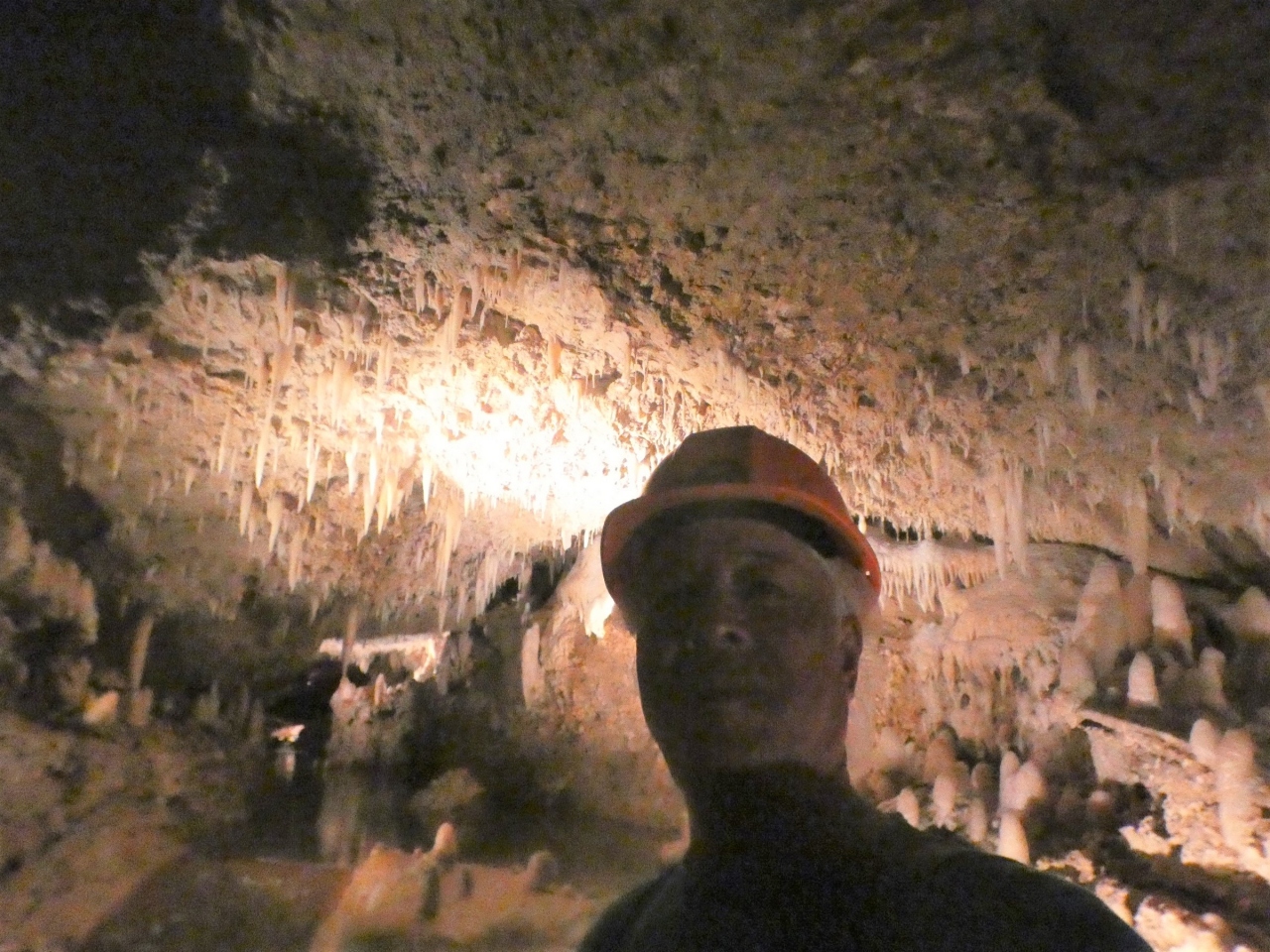 バルバドス ハリソン洞窟 Harrison S Cave Barbados その他の都市 バルバドス の旅行記 ブログ By ちふゆさん フォートラベル
