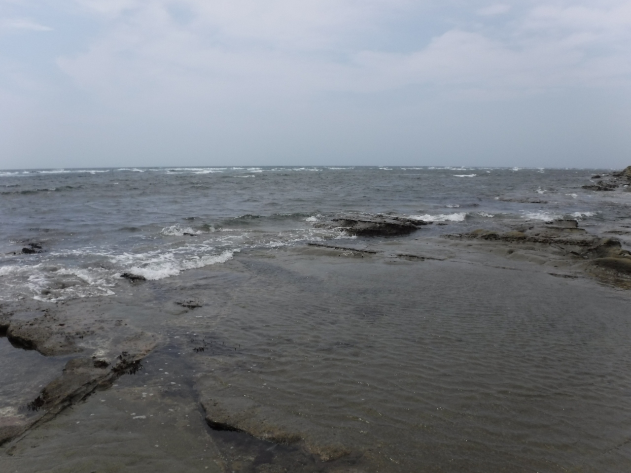 房州半島 磯遊び 勝浦 千葉県 の旅行記 ブログ By ガリゾーさん フォートラベル