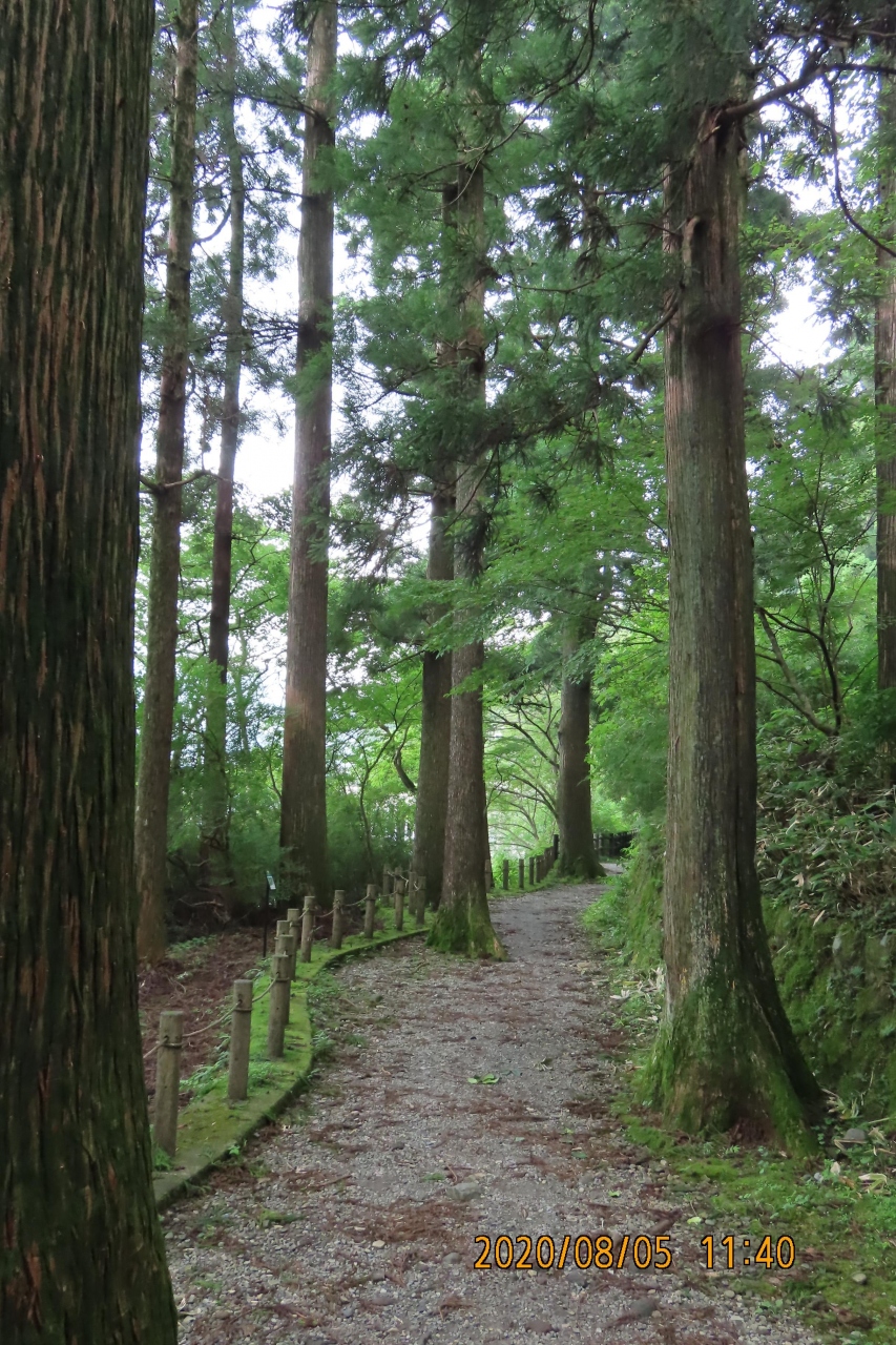 久しぶりに箱根旅行をしました 桃源台 海賊船 箱根町港 元箱根へ 元箱根 芦ノ湖周辺 神奈川県 の旅行記 ブログ By Tsunetaさん フォートラベル