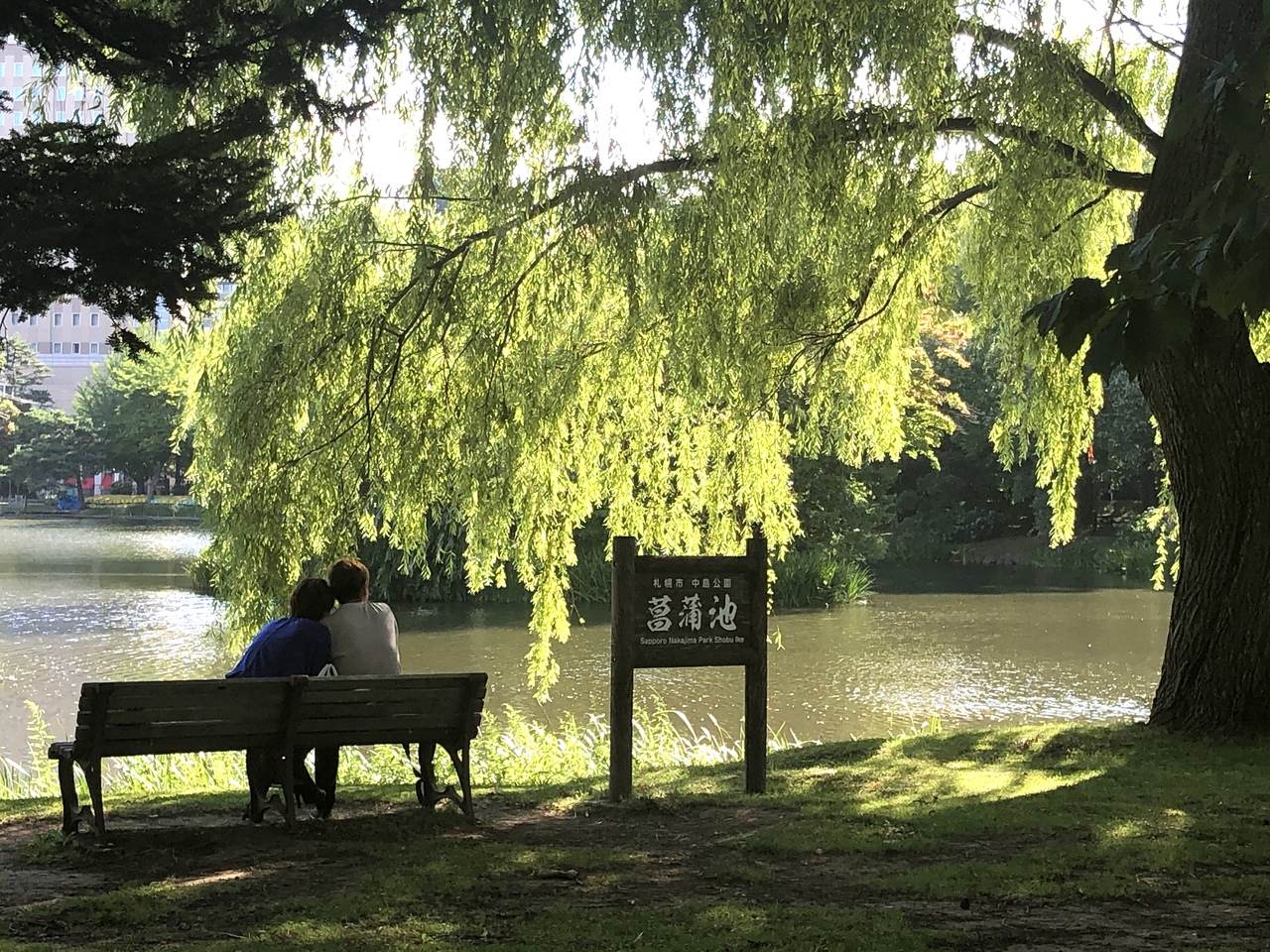 不要不急 夏の思い出 2 Morning Run 聖地 中島公園 豊平川編 札幌 北海道 の旅行記 ブログ By Amalfi Whiteさん フォートラベル