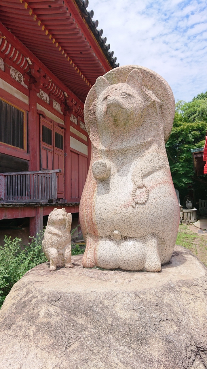 香川ドライブ 初屋島にうどんを食べに行く旅 香川県の旅行記 ブログ By さるくさん フォートラベル