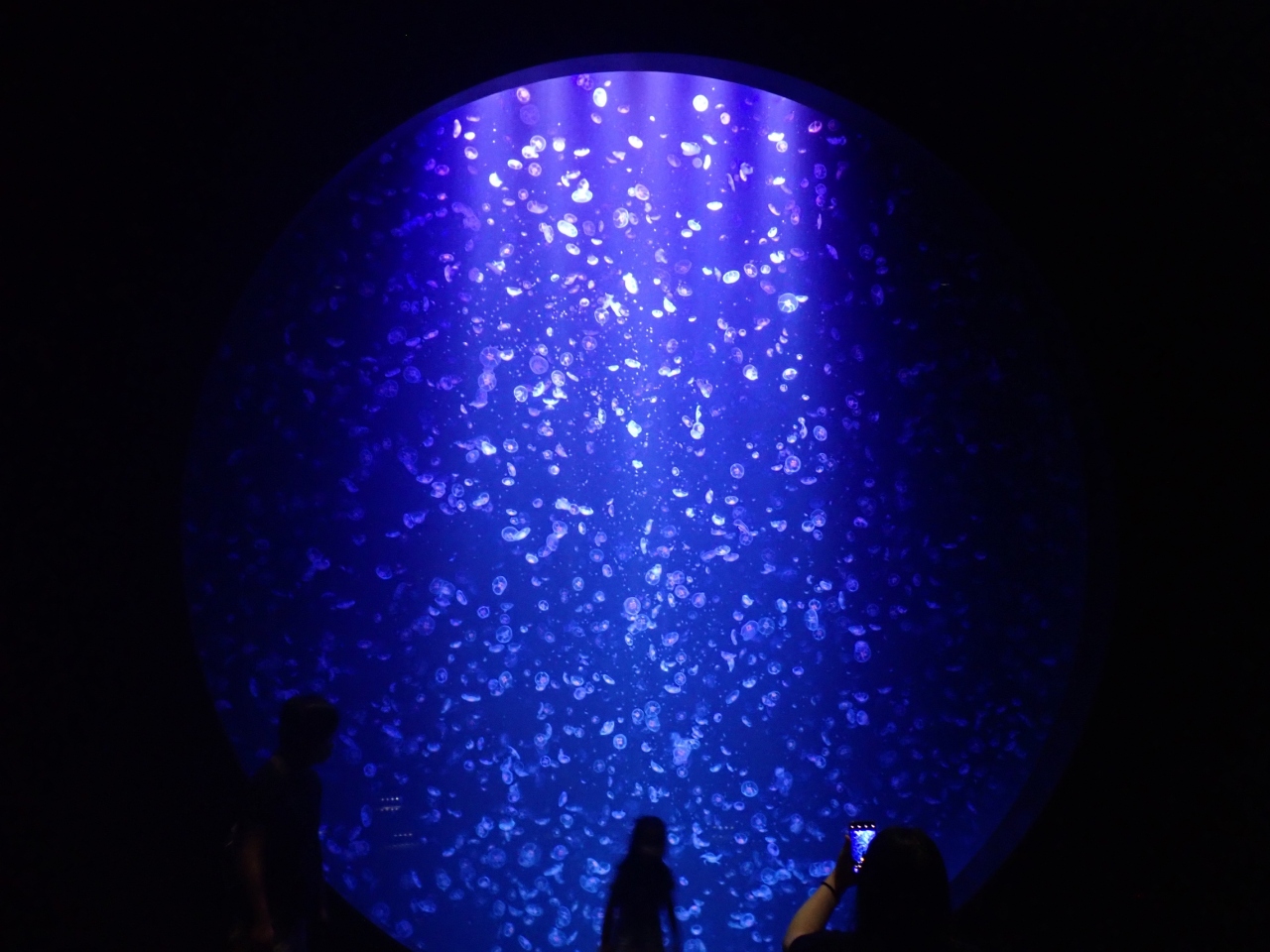 クロスカブ 東北ツーリングでカヤック 笹川流れから加茂水族館 田沢湖へ 田沢湖 乳頭温泉郷 秋田県 の旅行記 ブログ By しろくまクンクンさん フォートラベル クロスカブ 東北ツーリングでカヤック 笹川流れから加茂水族館 田沢湖へ 田沢湖 乳頭温泉郷 秋田県 の旅行記 ブログ By しろくまクンクンさん フォートラベル